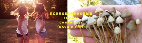 стафф Армянск